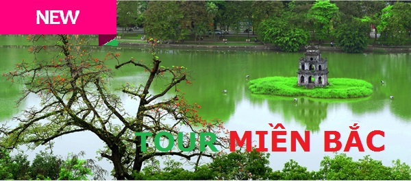 Tour miền bắc giá tốt