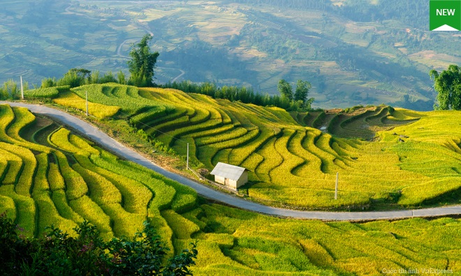 Tour Sài Gòn - Hà Nội - Sơn La - Điện Biên - Mộc Châu - Mù Cang Chải - Tú Lệ 6 ngày 5 đêm