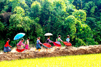 Sapa - Hàm Rồng - Cát Cát - Hà Khẩu 3 ngày 4 đêm