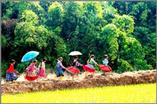 Tour Sài Gòn - Hà Nội - Mai Châu - Mộc Châu 4 Ngày 3 đêm